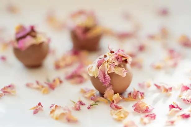 Pelican Casino Android/iOS-app